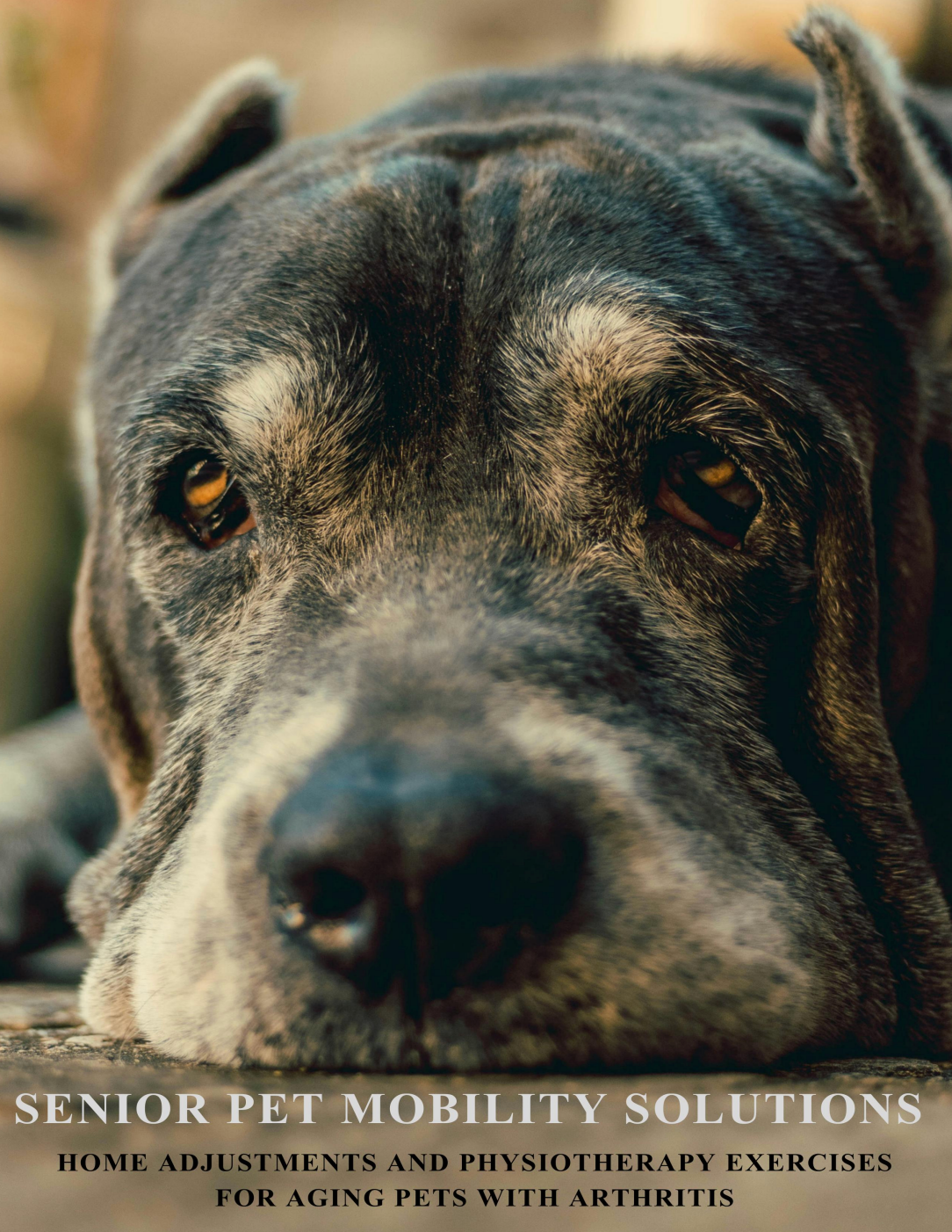 Guides for Pet Owners